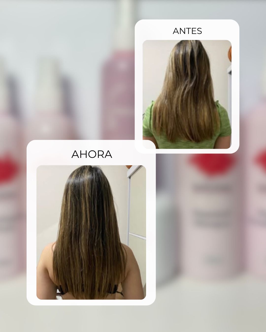 WhatsApp Image 2025-10-02 at 13.38.00