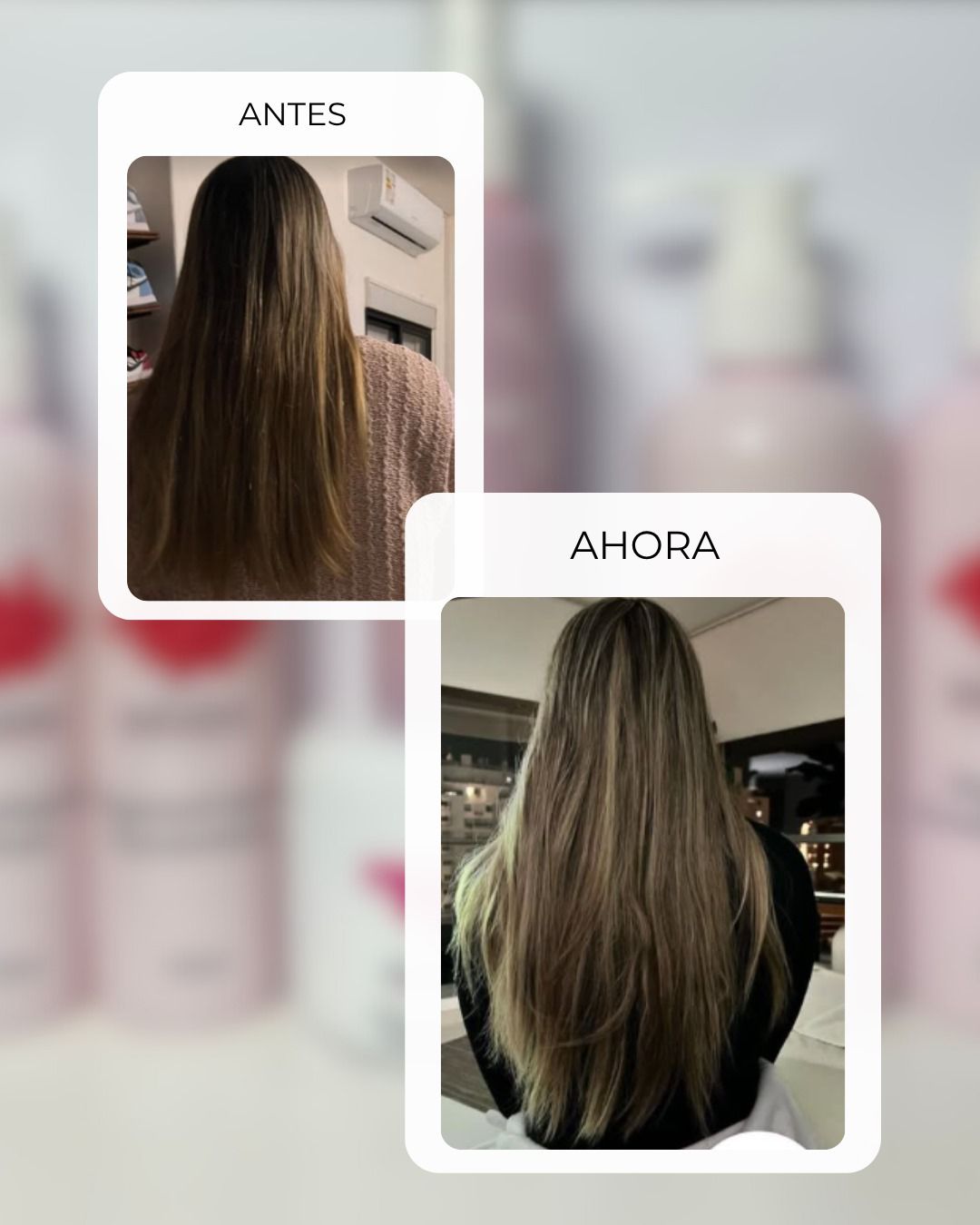 WhatsApp Image 2025-10-02 at 13.38.01