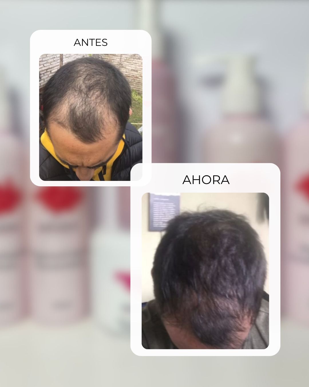 WhatsApp Image 2025-10-02 at 13.38.02